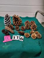 dennenappels 18 stuks klein en groot [b115], Diversen, Kerst, Ophalen of Verzenden