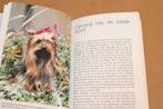 Yorkshire Terrier — Ras & Tips [1985], Ophalen of Verzenden, Zo goed als nieuw, Honden