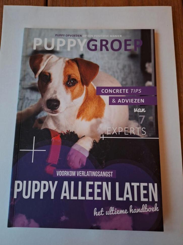 Puppygroep - Puppy Alleen Laten Handboek - 9789082578751, Boeken, Dieren en Huisdieren, Zo goed als nieuw, Honden, Verzenden