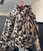 Giacomo jas xs, Kleding | Dames, Jassen | Winter, Ophalen of Verzenden, Zo goed als nieuw, Maat 34 (XS) of kleiner