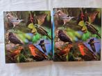 Vogels van onze streken - Twee delen (Redactie Atlas) 5,1 kg, Ophalen of Verzenden, Zo goed als nieuw, Natuur algemeen