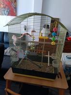 Mooie ruime vogel kooi, Ophalen, Zo goed als nieuw, Metaal, Vogelkooi