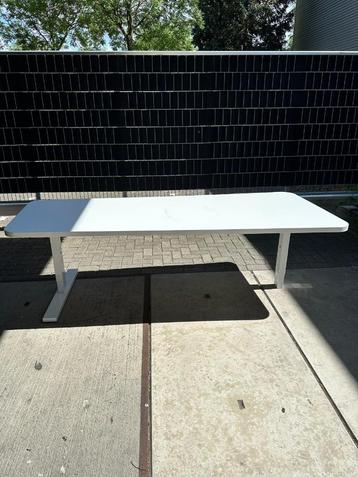Wit bureau