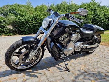 harley davidson muscle lage km stand! beschikbaar voor biedingen