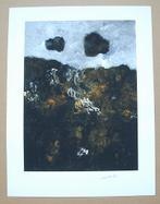 ## ARMANDO # Prachtig Werk " Ons woeste Land " 30Expl Wereld, Ophalen of Verzenden