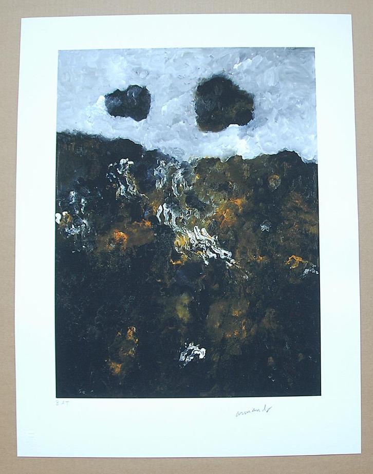 ## ARMANDO # Prachtig Werk " Ons woeste Land " 30Expl Wereld, Antiek en Kunst, Kunst | Litho's en Zeefdrukken, Ophalen of Verzenden