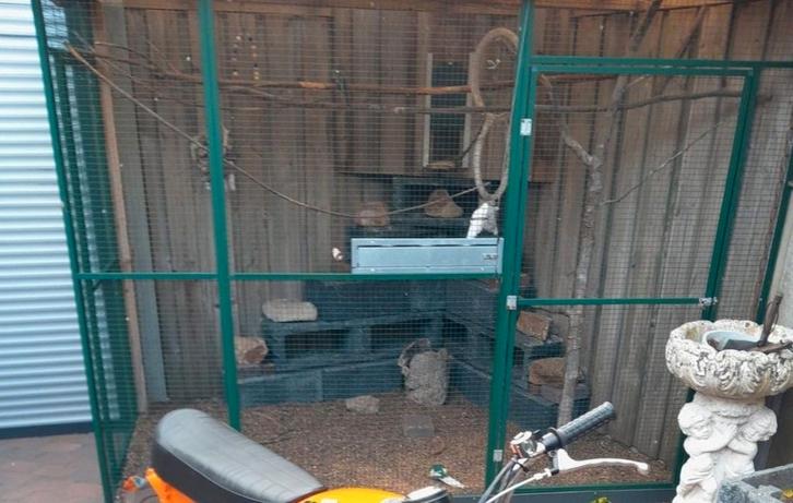 Voliere panelen, Dieren en Toebehoren, Vogels | Hokken en Kooien, Zo goed als nieuw, Volière, Aluminium, Ophalen of Verzenden