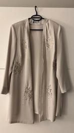 Ann Delire lila/grijze vest, Maat 42/44 (L), Ophalen of Verzenden, Grijs, Ann Delire