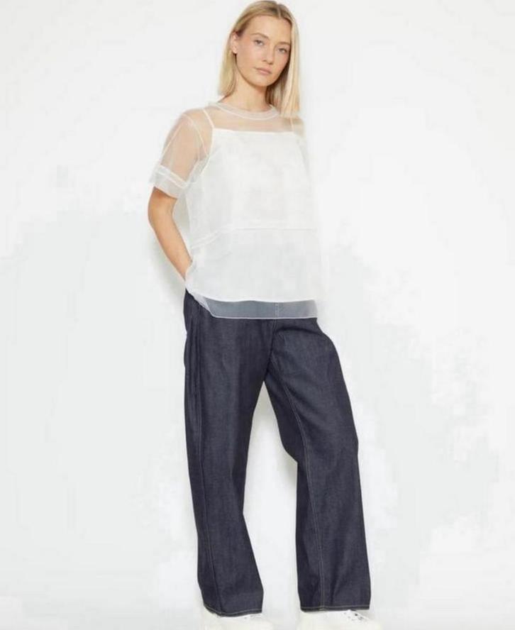 Sofie d’ Hoore waanzinnige organza top 38 by Pauw, Kleding | Dames, Blouses en Tunieken, Zo goed als nieuw, Maat 38/40 (M), Overige kleuren