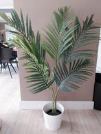 Kunststof Dwergpalm excl witte pot, Huis en Inrichting, Ophalen, Nieuw, Binnen