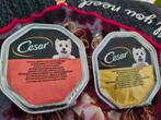 100 cesar kuipjes 1 koop 50 kip 50 rund hondenvoer, Dieren en Toebehoren, Ophalen, Hond