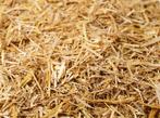 gehakseld stro 5kg, Verzenden, Nieuw