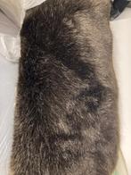 luxe donkerbruin haar imitatiebont / lux brown hair fauxfur, Nieuw, 30 tot 200 cm, Polyester, Ophalen of Verzenden