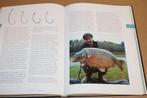It's My Life — Sportvisserij & Karpervissen — Eddy Sterckx, Boeken, Sportboeken, Ophalen of Verzenden, Zo goed als nieuw