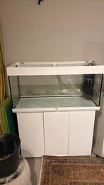JUWEL Aquarium Rio met onderkast LED wit 180 L 101x41x123 cm, Dieren en Toebehoren, Ophalen, Zo goed als nieuw, Leeg aquarium