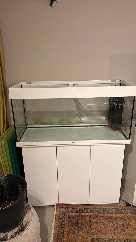 JUWEL Aquarium Rio met onderkast LED wit 180 L 101x41x123 cm, Dieren en Toebehoren, Vissen | Aquaria en Toebehoren, Zo goed als nieuw