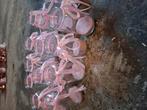 Waxinelicht houder, 13 stuks, Amfibie