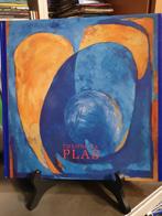 Theodora Plas, zij schildert op basis van haar intuïtie., Ophalen, Zo goed als nieuw