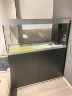 1 x Oase Highline 300 Roomdevider Zwart, Dieren en Toebehoren, Ophalen of Verzenden, Zo goed als nieuw, Leeg aquarium