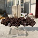 Dinosauruspoep COPROLITE (D1), Verzamelen, Mineralen en Fossielen, Ophalen of Verzenden, Fossiel