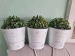 3 Zinken Bloempotten met Kunstplanten, Huis en Inrichting, Ophalen of Verzenden, Binnen