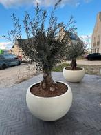 POTTENSHOP Bloempot groot Hoge pot zand pot plantenbak, Tuin, Kunststof, Verzenden, Nieuw
