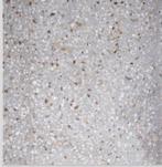 Vloertegel Sphinx RC Terrazo grey 60x60 cm, Ophalen, Nieuw