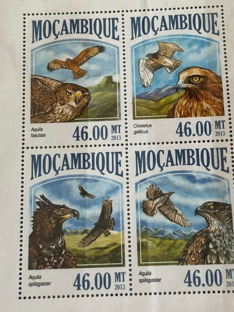Vogel, Mozambique 2013, Ophalen of Verzenden, Postfris, Dier of Natuur