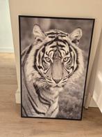 Tijger canvas 58x37.5 cm, Minder dan 50 cm, 50 tot 75 cm, Ophalen of Verzenden, Zo goed als nieuw