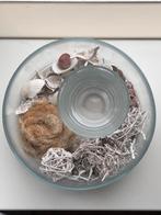 Waxinelichtje met stranddecoratie, Ophalen, Zo goed als nieuw
