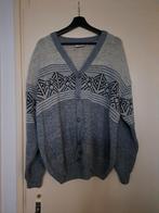 Een leuke Herenvest. Maat l, Ophalen, Zo goed als nieuw