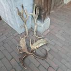 1x Set landelijke afwerpstangen gewei damhert *Etage3*, Gebruikt, ., Ophalen of Verzenden, .