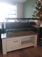 Terrarium 100x55x50, Ophalen, 75 tot 110 cm, Hok, Minder dan 60 cm