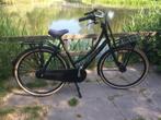 NIEUWSTAAT! Cortina U4 Transport | 28", Frame 57cm, 7 versn., Versnellingen, 56 cm of meer, Zo goed als nieuw, Ophalen