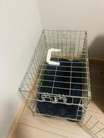 Bench boomers puppy’s, Dieren en Toebehoren, Ophalen of Verzenden, Zo goed als nieuw