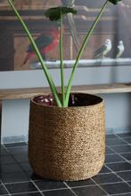 Grote ronde bloempotten / manden riet rotan (2 maten), Tuin en Terras, Bloempotten, Overige materialen, Rond, Ophalen of Verzenden