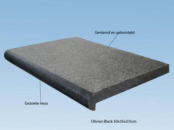 zwembadranden Panda Black Basalt 50x35x3/5 cm - TOPPRIJS beschikbaar voor biedingen
