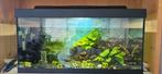 Aquarium 60l met meubel, Dieren en Toebehoren, Vissen | Aquaria en Toebehoren, Ophalen, Zo goed als nieuw