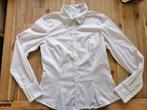 Mooie wit met zwart gestreepte blouse merk Pepercorn, Wit, Ophalen of Verzenden, Zo goed als nieuw, Pepercorn