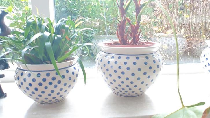 4 leuke blauw-witte bloempotten, Tuin en Terras, Bloempotten, Gebruikt, Aardewerk, Binnen, Balkon, Tuin, Minder dan 40 cm, Minder dan 25 cm