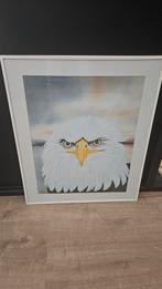 Amerikaanse Zeearend Schilderij - Ingelijst, Ophalen