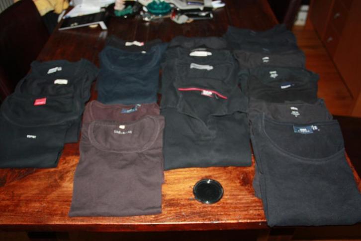 Dames T-shirts Zwart en Bruin, diverse maten en merken, 22 s, Kleding | Dames, T-shirts, Zo goed als nieuw, Maat 38/40 (M), Zwart