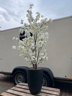 Nieuw! Kunstbloesemboom wit compleet in matte vaas, Ophalen of Verzenden, Nieuw