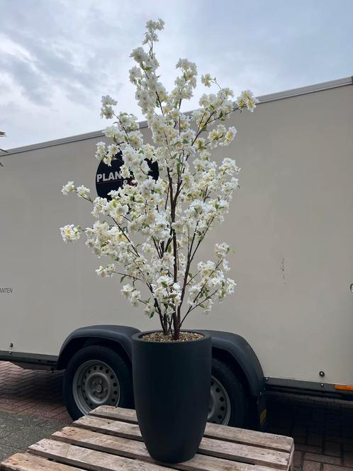 Nieuw! Kunstbloesemboom wit compleet in matte vaas, Huis en Inrichting, Woonaccessoires | Kunstplanten en Kunstbloemen, Nieuw