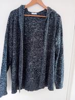 Leuk vest met capuchon maat XL, Ophalen of Verzenden, Zo goed als nieuw, Maat 46/48 (XL) of groter, Grijs
