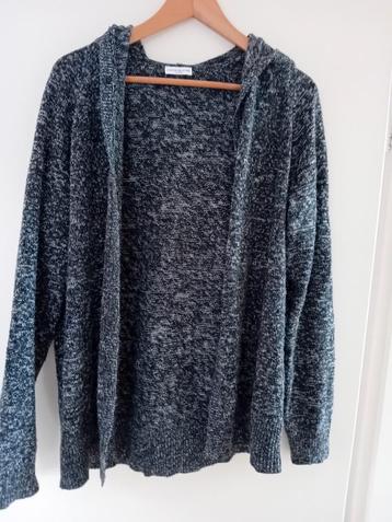 Leuk vest met capuchon maat XL beschikbaar voor biedingen