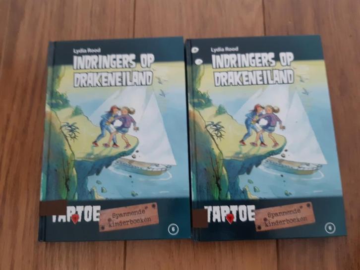 Indringers op Drakeneiland Lydia Rood, Boeken, Kinderboeken | Jeugd | onder 10 jaar, Zo goed als nieuw, Fictie algemeen, Ophalen of Verzenden