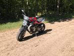 Mv agusta brutale 675, Motoren, Motoren | MV Agusta, 675 cc, 3 cilinders, Particulier, Meer dan 35 kW