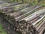 Gecreosoteerde boompalen 250x6 en 300x9, Ophalen, Gebruikt, 250 cm of meer, Palen