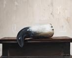 Stilleven met hoorn (2025), Antiek en Kunst, Kunst | Schilderijen | Klassiek, Ophalen of Verzenden